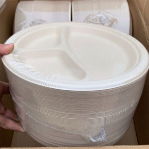 Bagasse Tableware And Kitchenwares